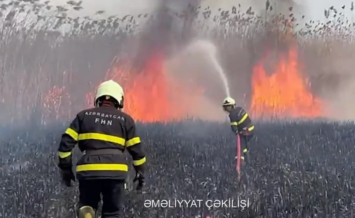 Qazaxın Daşsalahlı kəndində açıq ərazidə YANĞIN - VİDEO