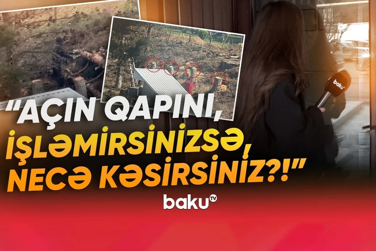 Yasamalda irigövdəli ağacları kəsənlər ifşa olundular - VİDEO