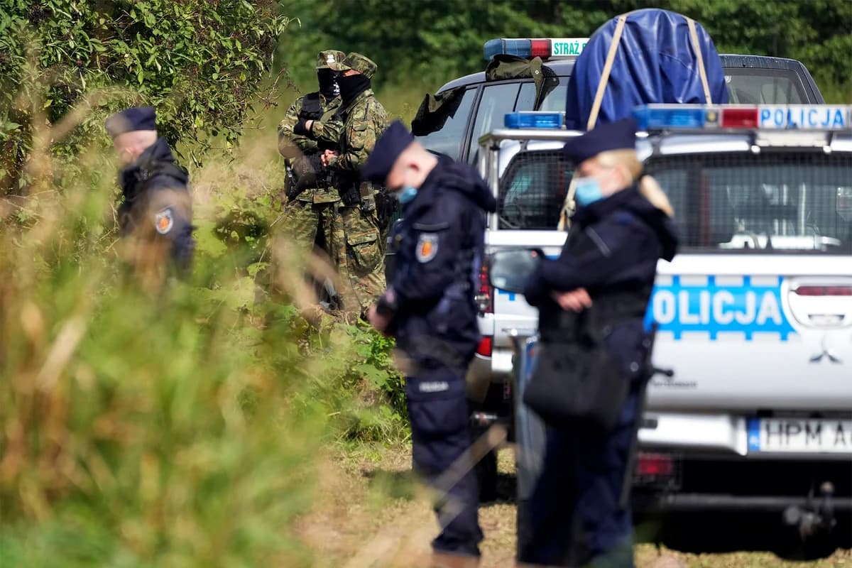Polşada sirli hadisə: Meşəyə naməlum obyekt düşdü