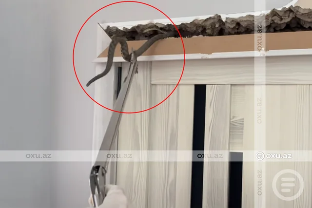 Ləhiş bağlarında yaşayış evindən ilan çıxıb - FOTO - VİDEO