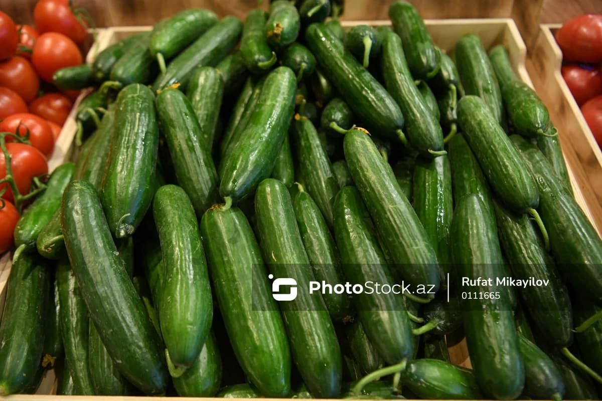 Hava şəraiti fermerləri çətin vəziyyətə salıb: Məhsul itkisi artır - VİDEO