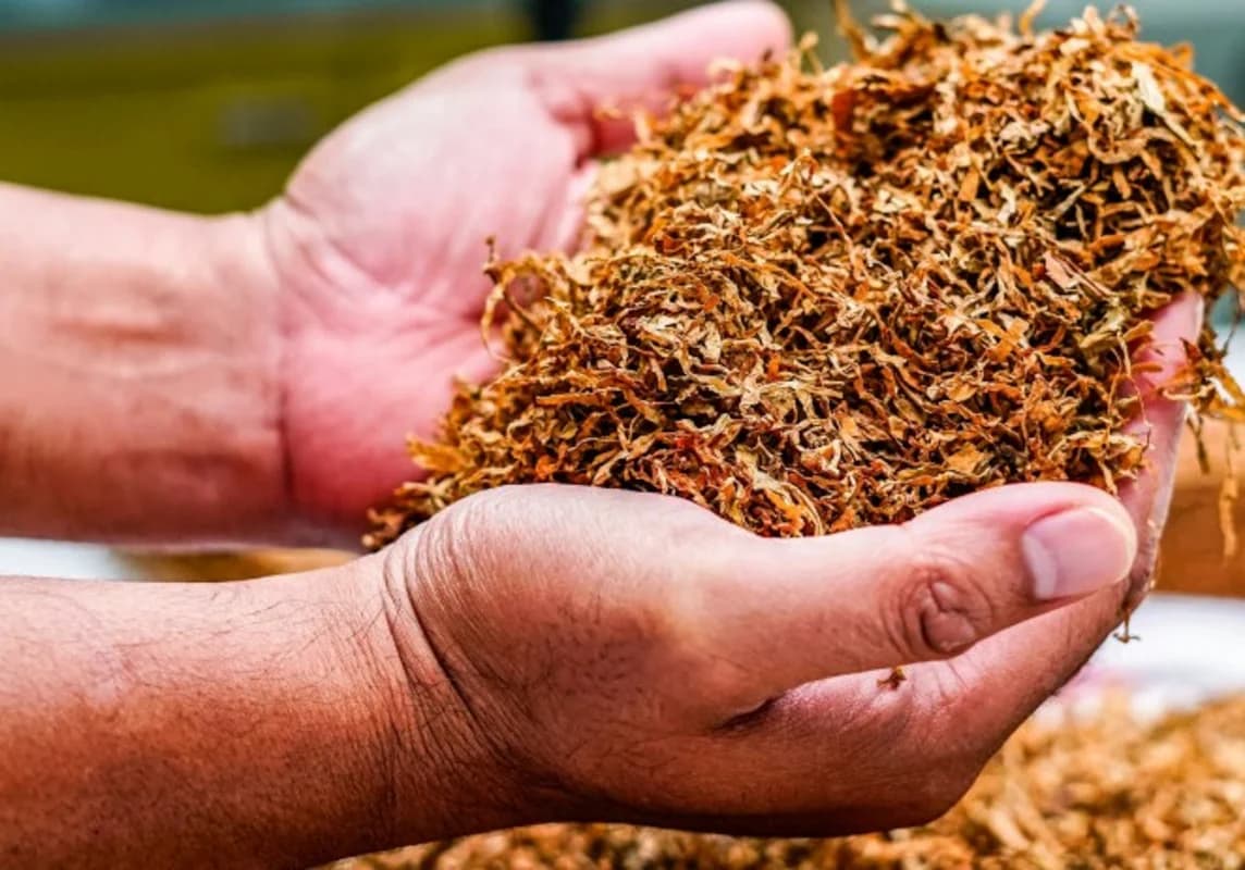 Siqaret bazarında səssiz inqilab: Yerli məhsullar idxalı sıxışdırır