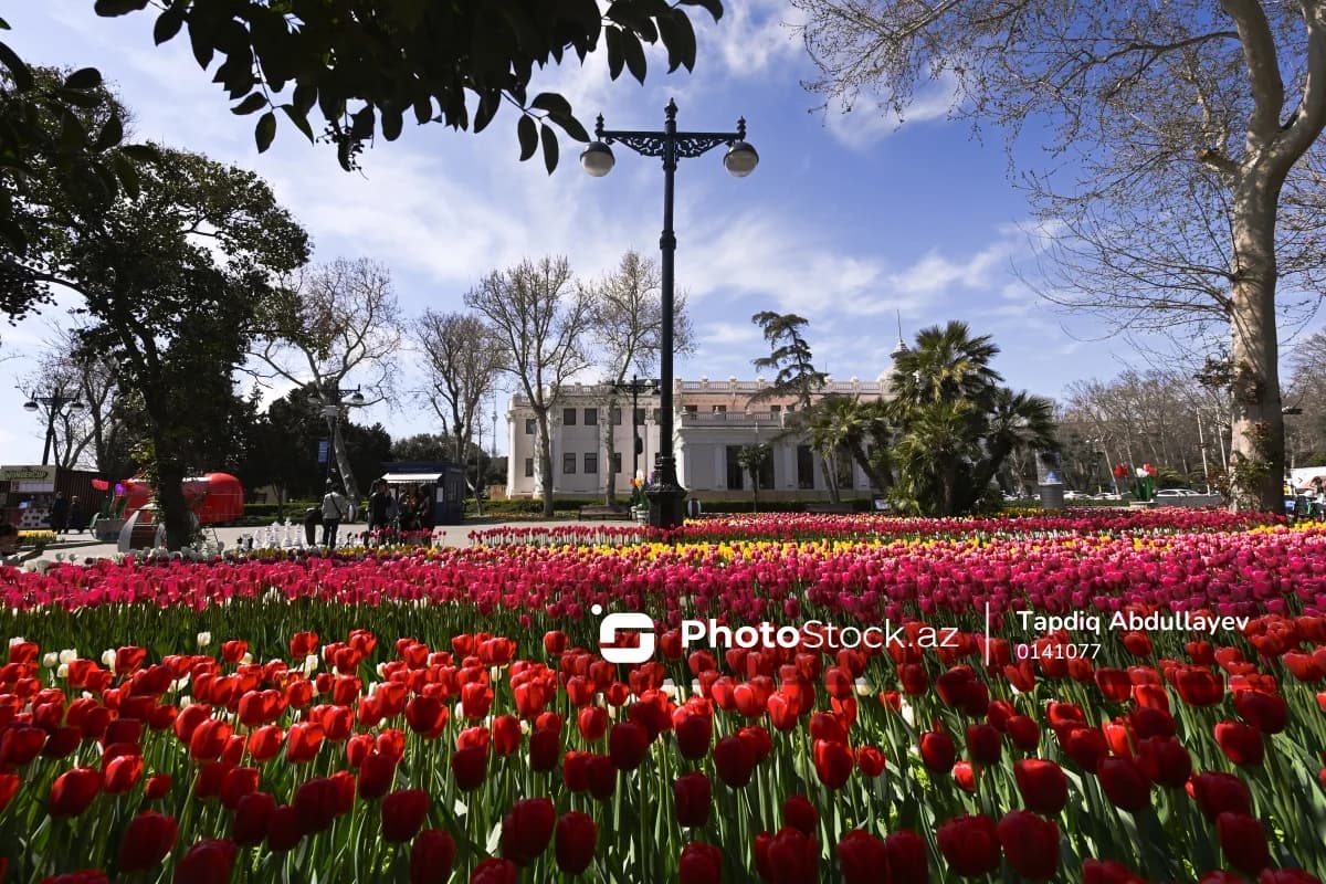 Sabah Bakıda 17 dərəcə isti olacaq, rayonlara qar, dolu yağacaq - 09.04.2026