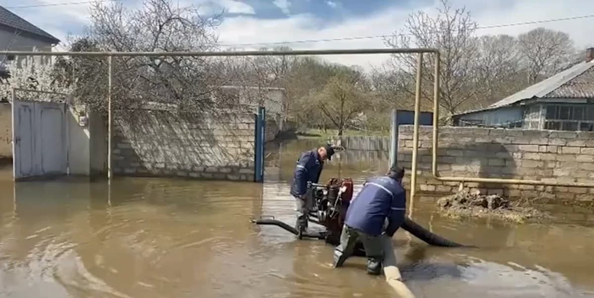 Bakı, Abşeron və Xaçmazda suçəkmə işləri həyata keçirilir - VİDEO