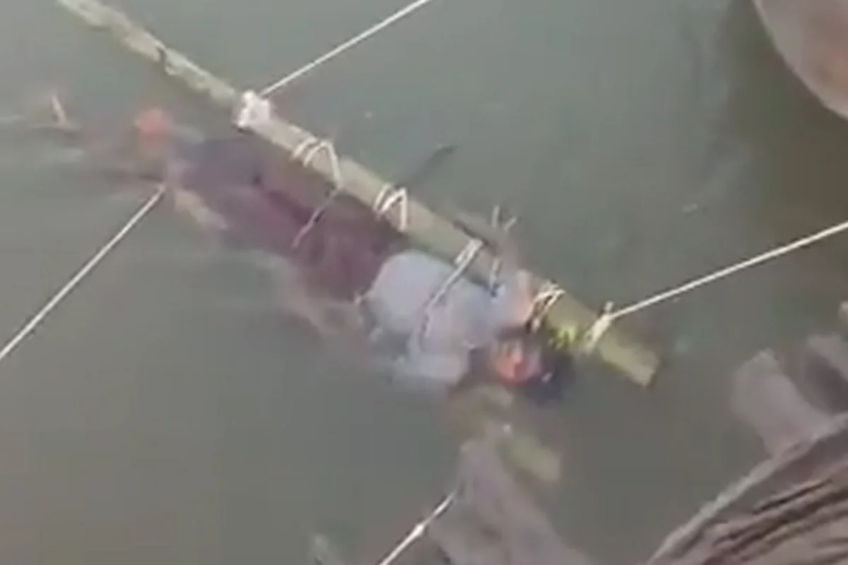 Hindistansa ilan vuran uşağı 12 saat çayda saxladılar - VİDEO