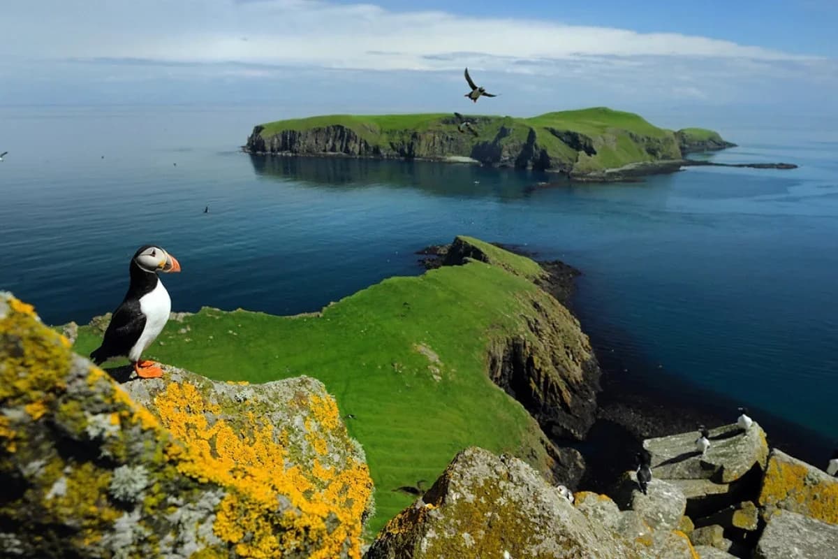 Trampın etirazından sonra Britaniya Çaqos razılaşmasını dayandırır