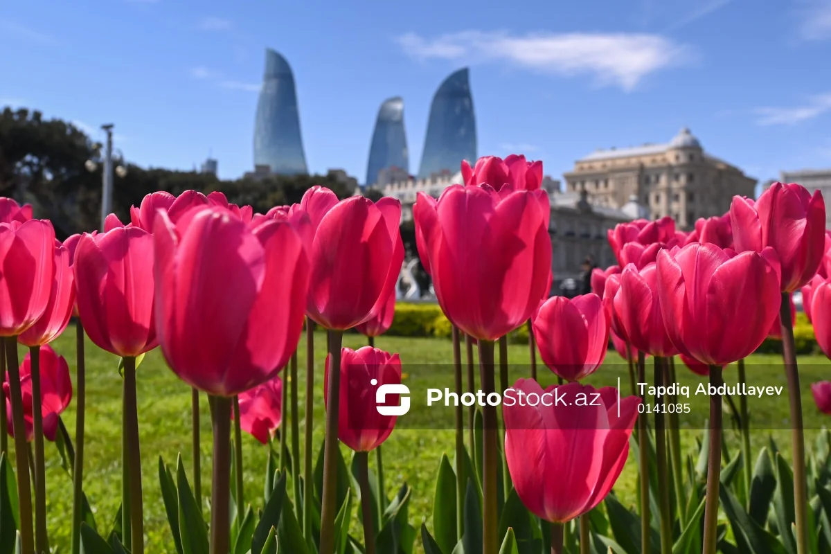 Sabah hava necə olacaq? - 13.04.2026