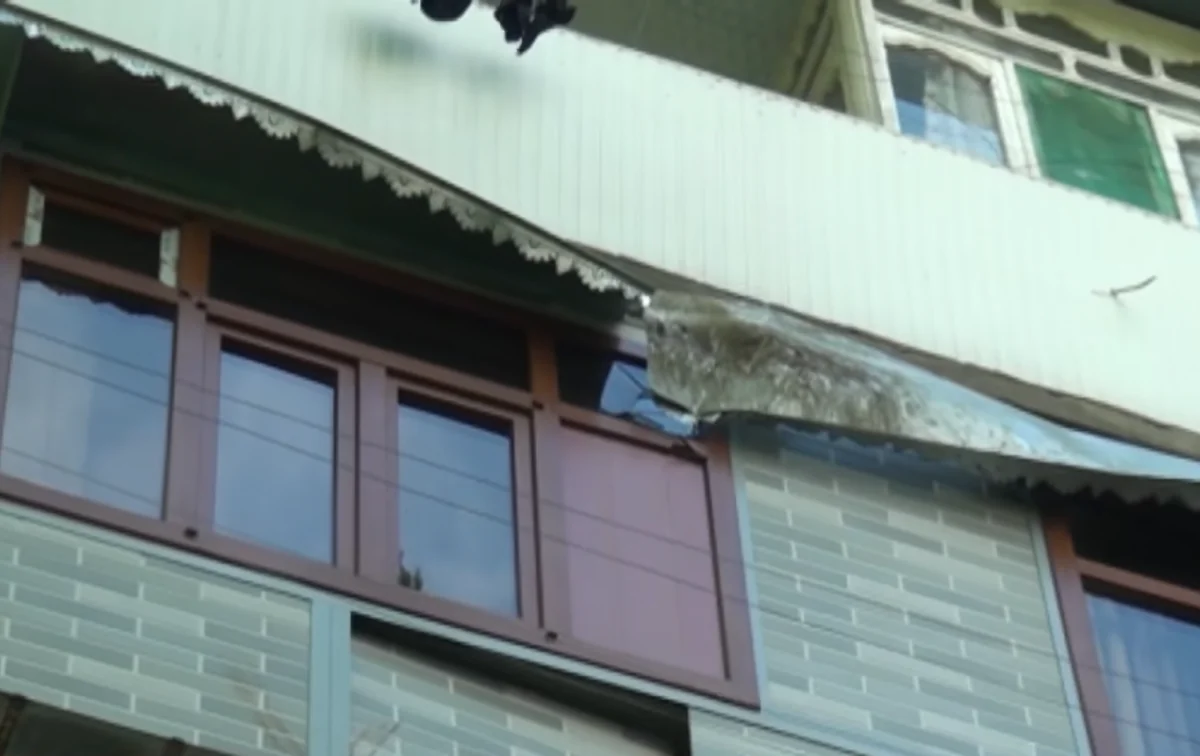 Mingəçevirdə güclü külək fəsad yaratdı - Aşan ağaclar mənzillərə ziyan vurdu - VİDEO