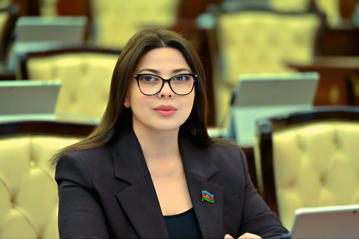 Səbinə Salmanova: "Energetika sahəsi Azərbaycan ilə Çexiya arasında münasibətlərin əsas dayaqlarından biri hesab olunur"