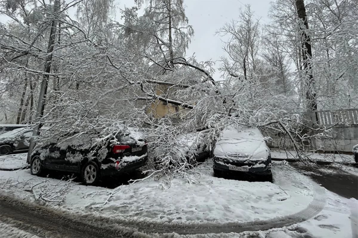 Moskvada qar rekordu: Nəqliyyatın hərəkəti iflic oldu, uçuşlar təxirə salındı - FOTO - VİDEO
