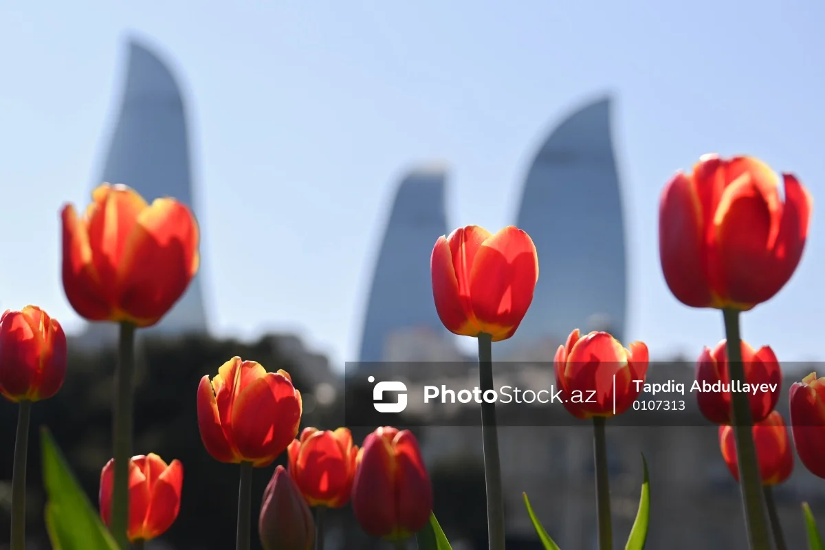 Şənbə günü 26 dərəcə isti olacaq - 02.05.2026
