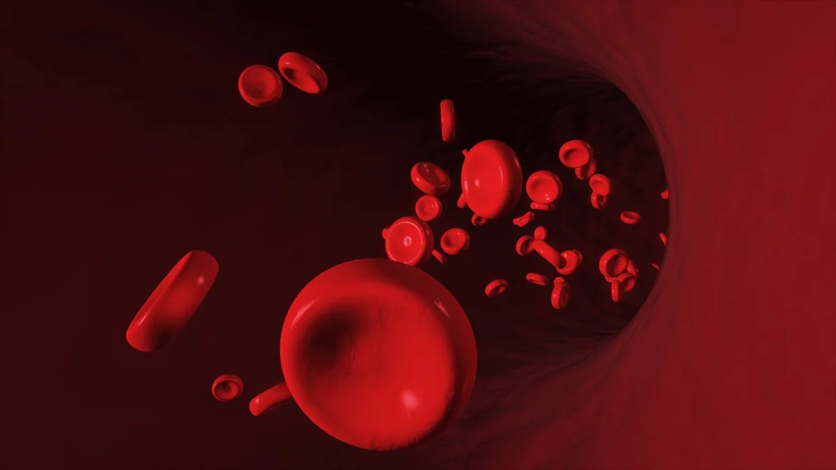 Talassemiya daşıyıcıları nələri bilməlidirlər? - Hematoloqdan TÖVSİYƏ - FOTO