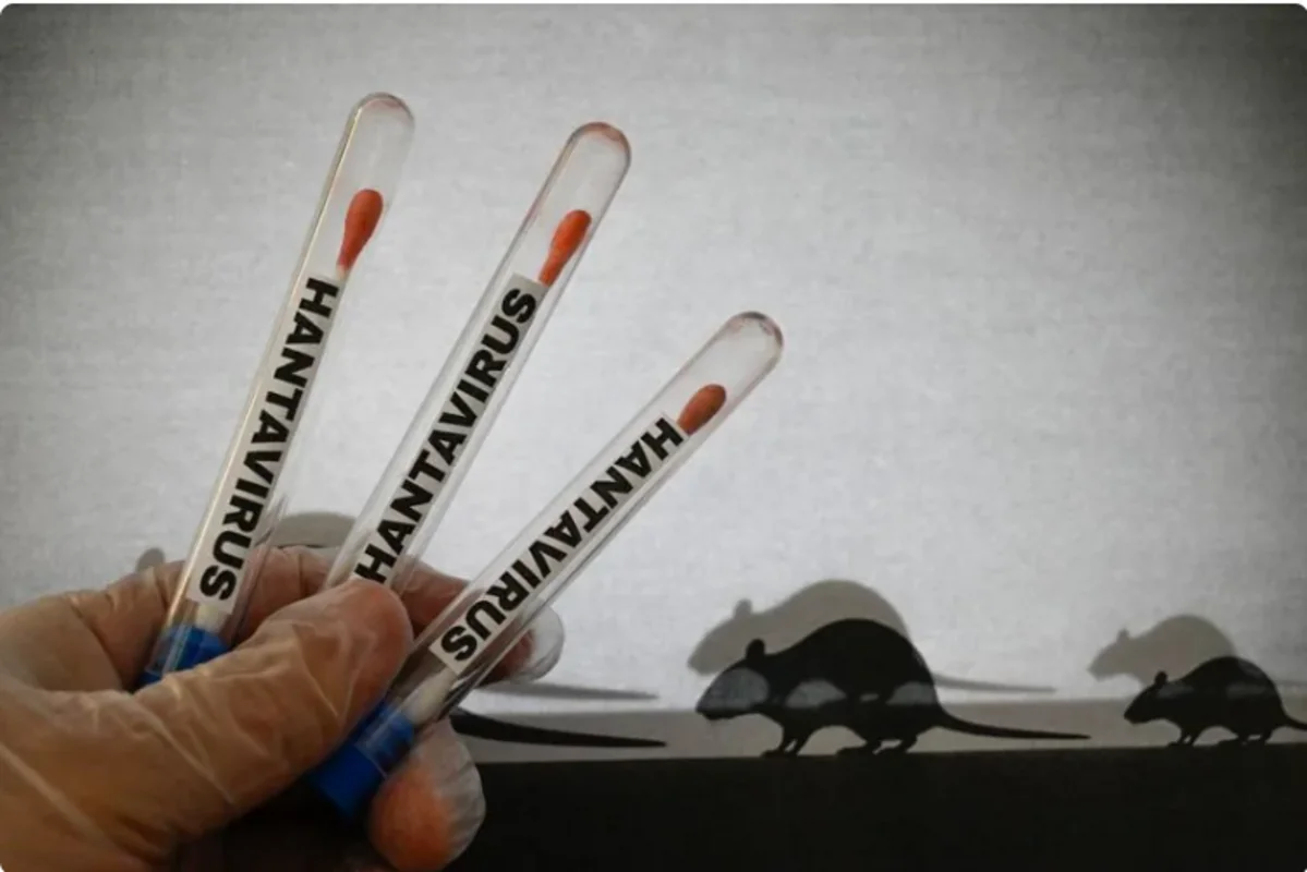 İnfeksionistdən hantavirus XƏBƏRDARLIĞI: "Ölüm riski yüksəkdir" - FOTO